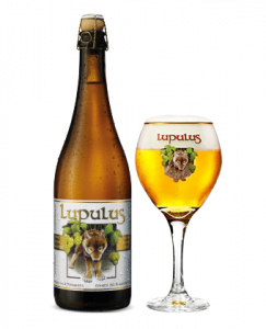 Lupulus cl75 - Brasserie les 3 Fourquetes - Birra Belgio